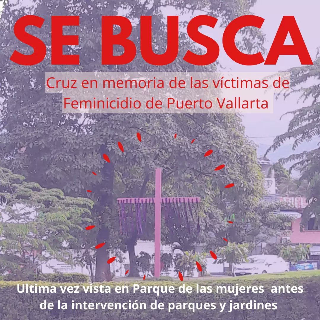 Perspectiva Violeta México tweet media