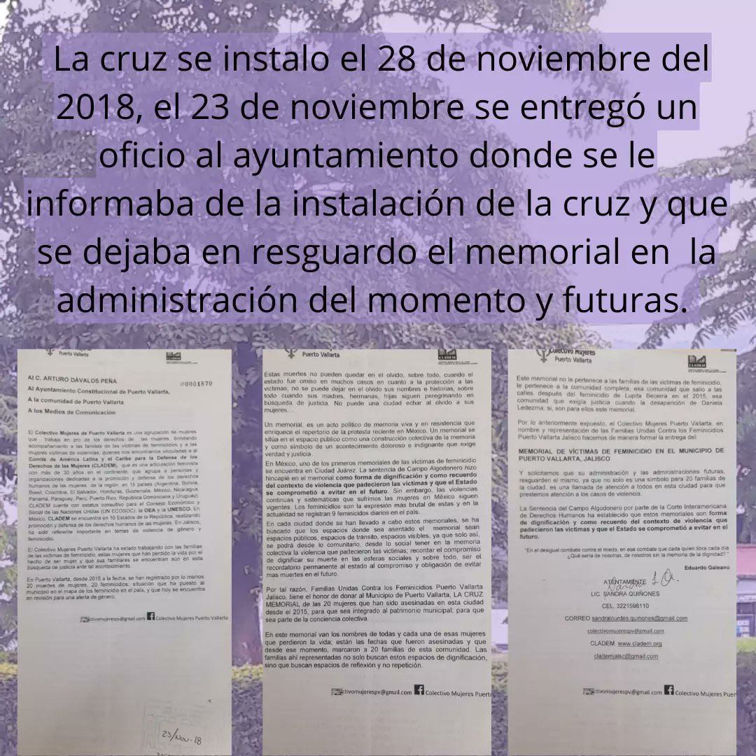 Perspectiva Violeta México tweet media