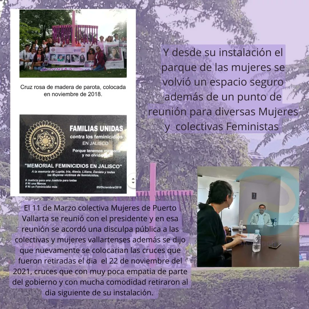 Perspectiva Violeta México tweet media