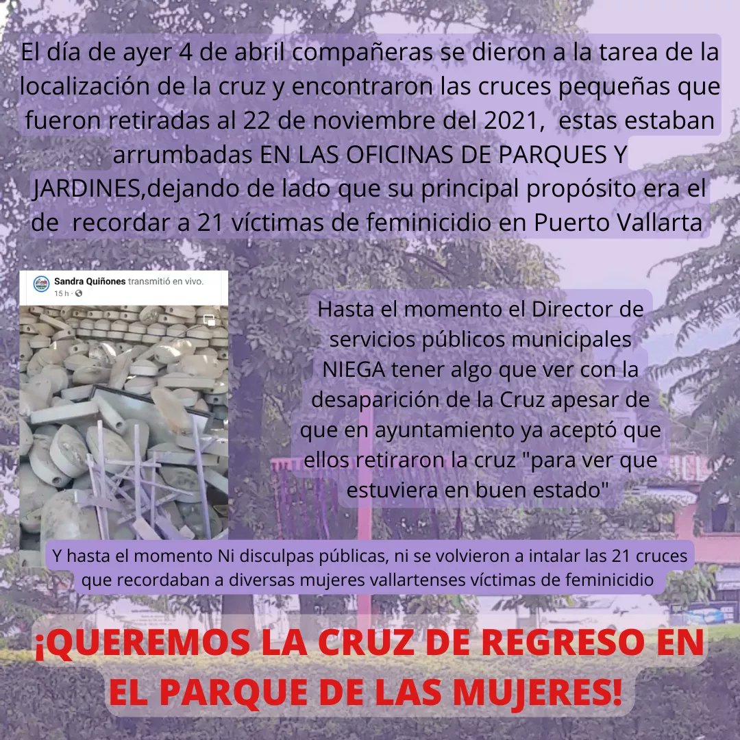 Perspectiva Violeta México tweet media