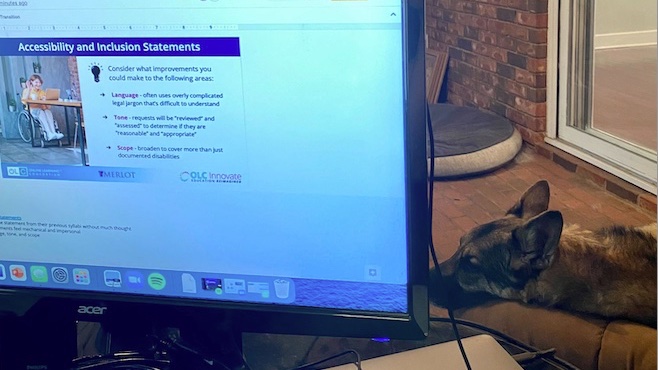 Looking forward to presenting at the onsite #OLCInnovate conference next week with the Institute team on Framing Diversity, Equity, and Inclusion in Professional Development. Peep the #OLCpets in the background helping me prep 🤓 #DEI #a11y