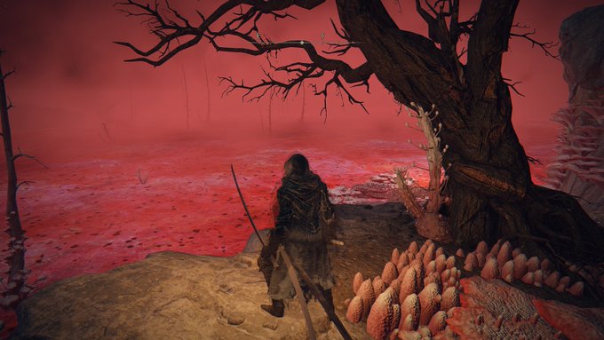 1周目探索をがんばったので
2周目はだいぶ端折れてるはずだけど

ヤなとこはヤなんだよ。。。 