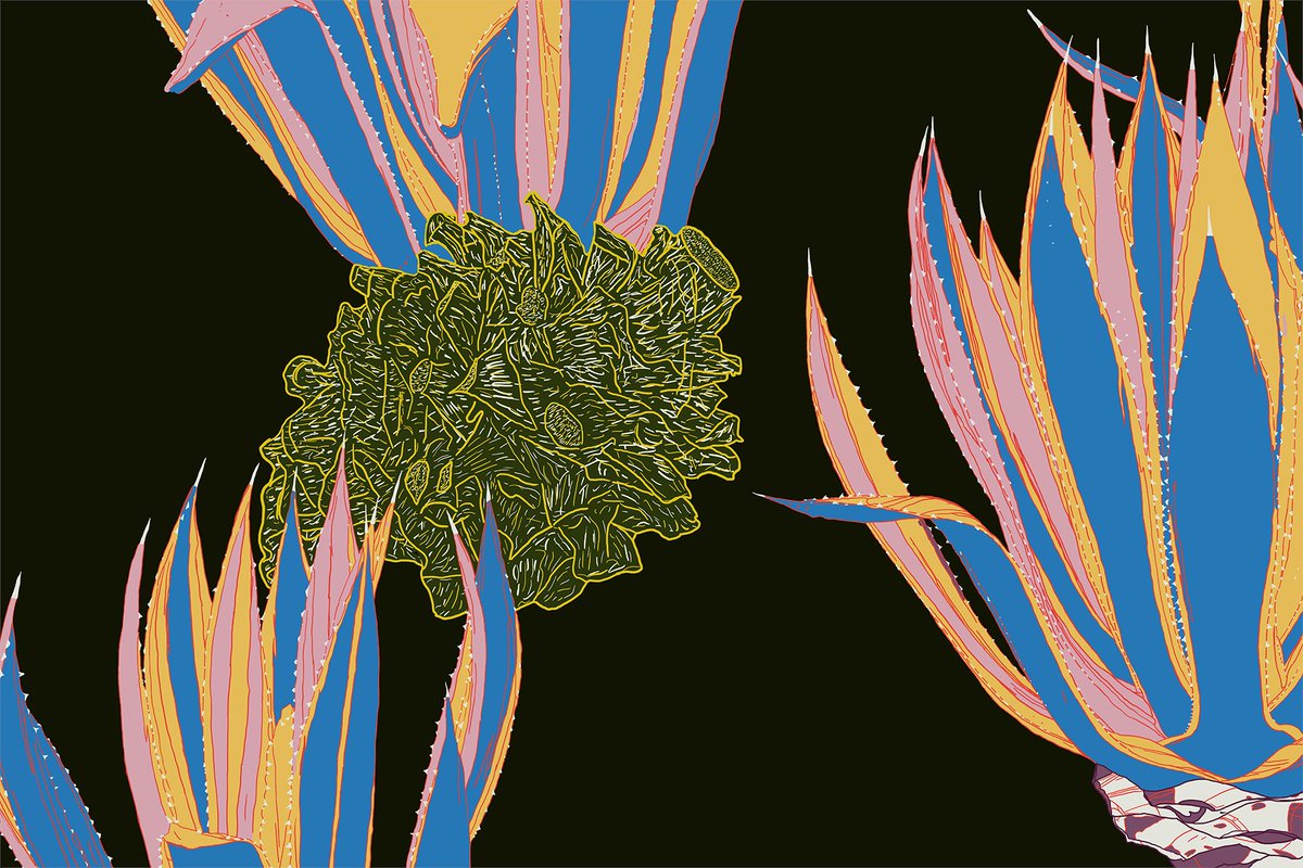 PteDeInternet's tweet photo. https://t.co/jnEEKQS1Jt a través de @opensea
#Collection: #DigitallyBased
Title: Baile
Minted and for sale.
All offers welcomed
#NftCollectors: 🧐🛒😊
#Nft #Nfts #NftArt
Pay with: #Etherum #Matic #Luna or any Bank Cards, Apple Pay, and Google Pay
#Baile #Dance #ColorKey https://t.co/4OkLc5oau9