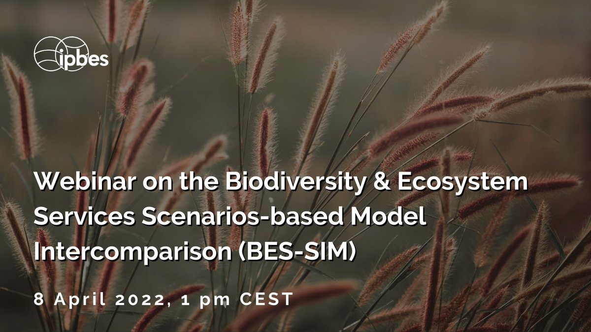 IPBES's tweet photo. THIS FRIDAY💥

Webinar on the Biodiversity &amp; Ecosystem Services Scenarios-based Model Intercomparison (BES-SIM) organized by @IPBES task force on scenarios &amp; models, w/the support of the capacity-building task force.

📅8 April 2022⏰1pm CEST

SIGN UP 👉https://t.co/Sc4Pfl5Od3 https://t.co/wdFtkj6mm7