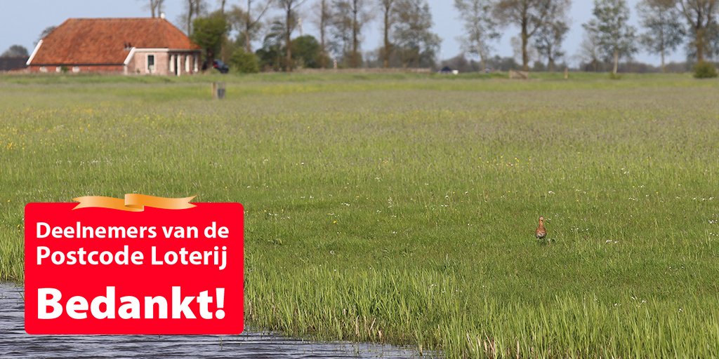 Dankzij de deelnemers aan de <a href="/PostcodeLoterij/">Postcode Loterij</a> kunnen we het thuis van de grutto en andere weidevogels optimaliseren. Samen geven we de grutto een thuis om groot te worden. #deelnemersbedankt #welkomthuisgrutto