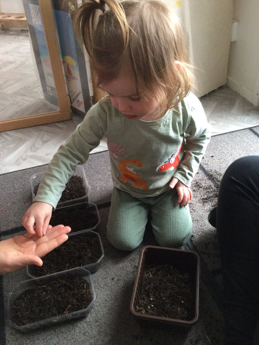 mccreadyfamily's tweet photo. Today in the rainbow room we planted some more seeds.  We planted some beetroot and cauliflower seeds.  We talked about the different seeds and how we can help them to grow.  We watered them and will watch them grow over the next few months.  #learningforsustainabilty https://t.co/e2klFI5DD8
