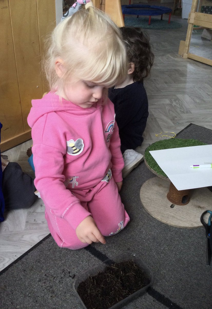 mccreadyfamily's tweet photo. Today in the rainbow room we planted some more seeds.  We planted some beetroot and cauliflower seeds.  We talked about the different seeds and how we can help them to grow.  We watered them and will watch them grow over the next few months.  #learningforsustainabilty https://t.co/e2klFI5DD8