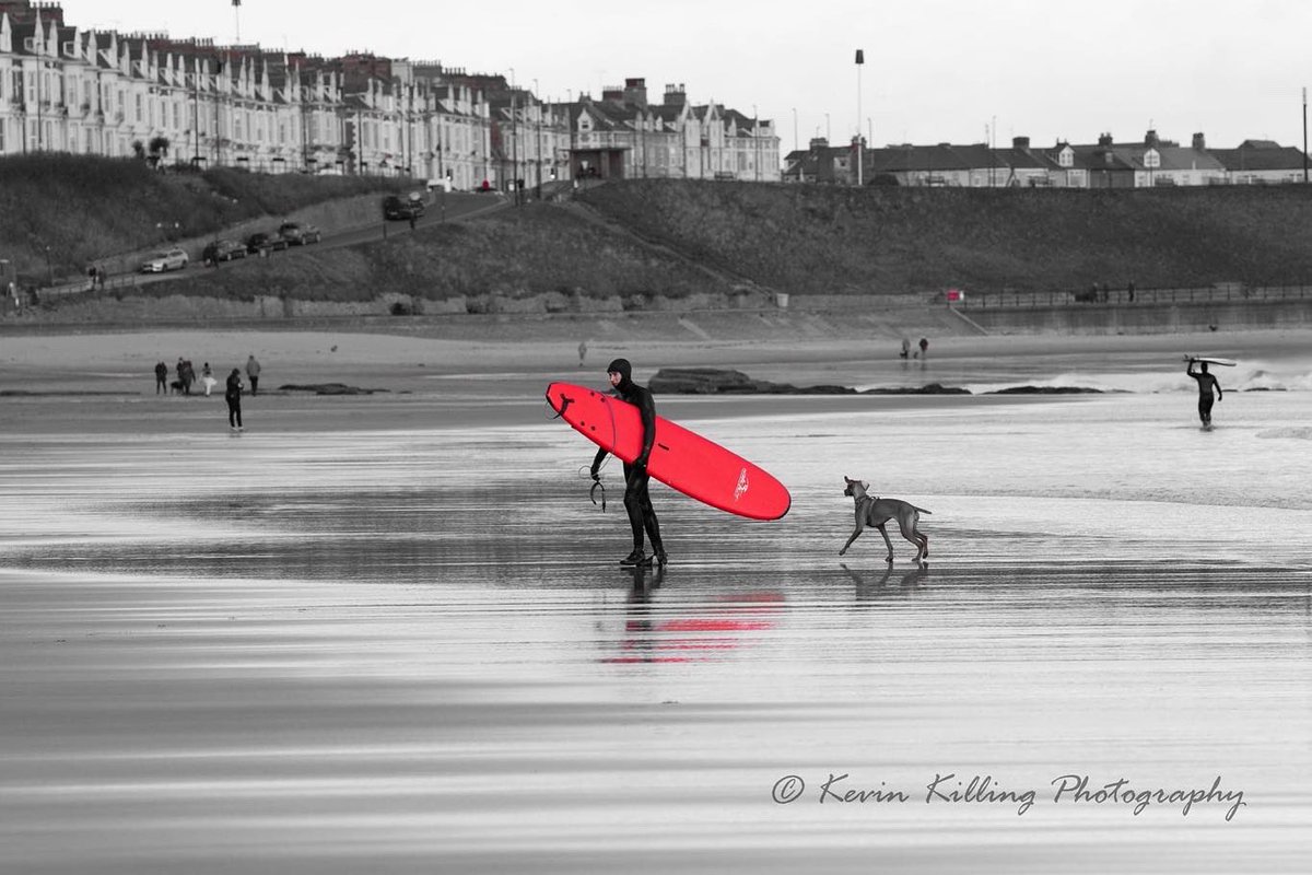 Kev Killing tweet media