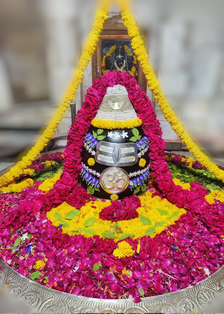 Somnath_Temple's tweet photo. श्री अहल्याबाई मंदिर, प्रभासक्षेत्र - गुजरात (सौराष्ट्र)
दिनांकः 06 अप्रैल 2022, चैत्र शुक्ल पंचमी - बुधवार
सायं शृंगार
03221252 https://t.co/tD1H0oZpr6
