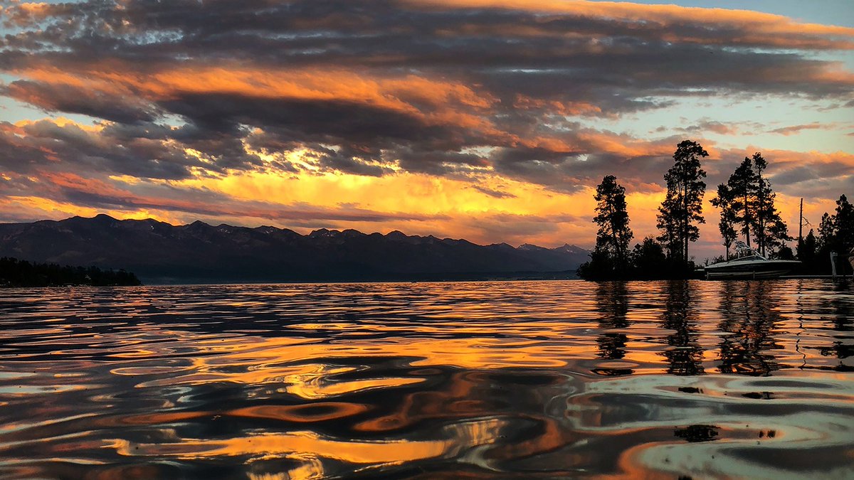 UMGRIZZLIES's tweet photo. "I’m in love with Montana. For other states I have admiration, respect, recognition, even some affection. But with Montana, it is love."

Happy 4/06 day⛰️  We are proud to represent and live in the treasure state!

#GoGriz #WeAreMontana https://t.co/KH5tMA3VlE
