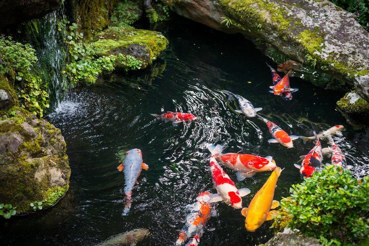 FWGdesigns's tweet photo. Did you know water features work as natural stress relievers? People are naturally drawn to water; the movement and sound can help put your mind and body at ease. Adding a water feature to your property can help your employees and customers feel a sense of calm and tranquility. https://t.co/uAoKt3fblk