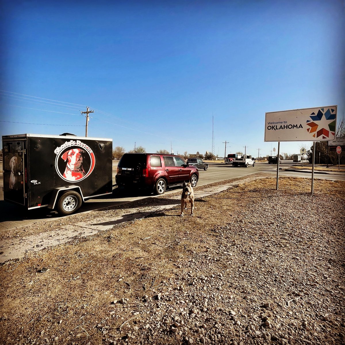 ShortyRossi's tweet photo. Hello 👋 #oklahoma
#herculeslives #pitbull #pitboss #shortyrossi #shortysrescue #cigars #cigar #TitosHandmadeVodka #VodkaForDogPeople #lucypet #metropaws #goughnuts #RedRoof #RedRoofLuvsPets #PetFriendly #PetFriendlyHotel #endbsl #pitbulls #rescue #justiceiscoming https://t.co/nplZSdzCxl