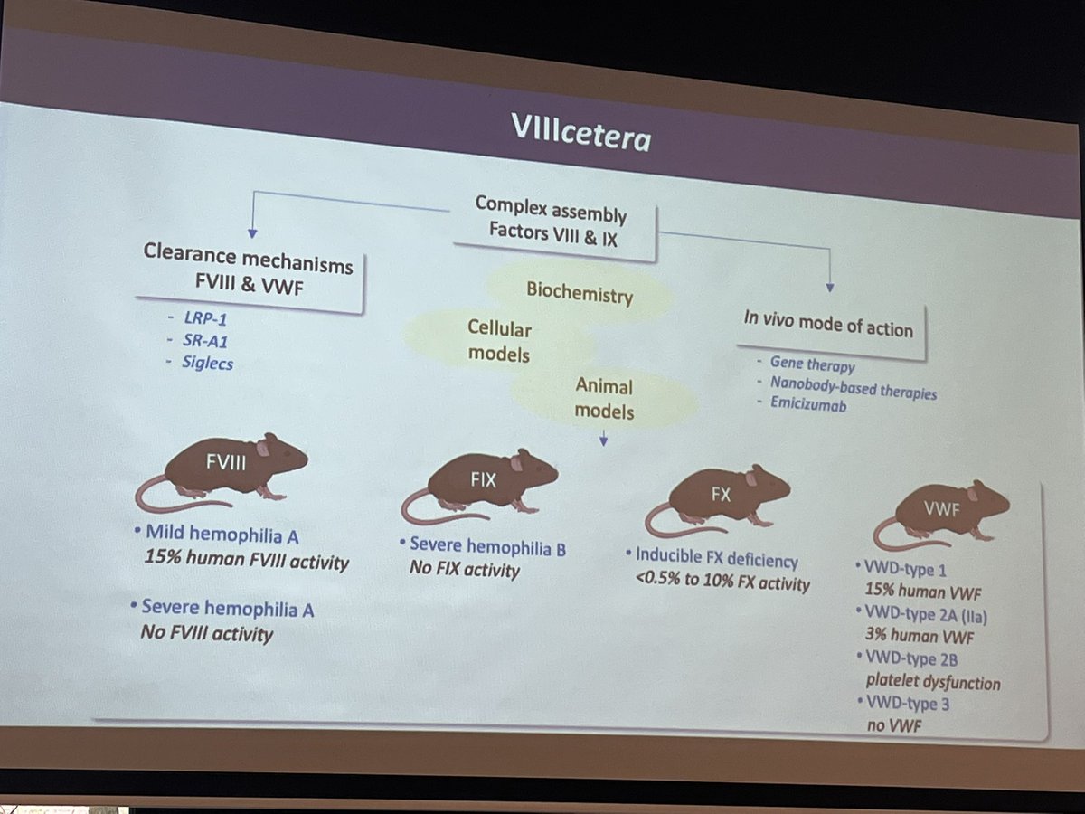 Heleen van Ommen tweet media