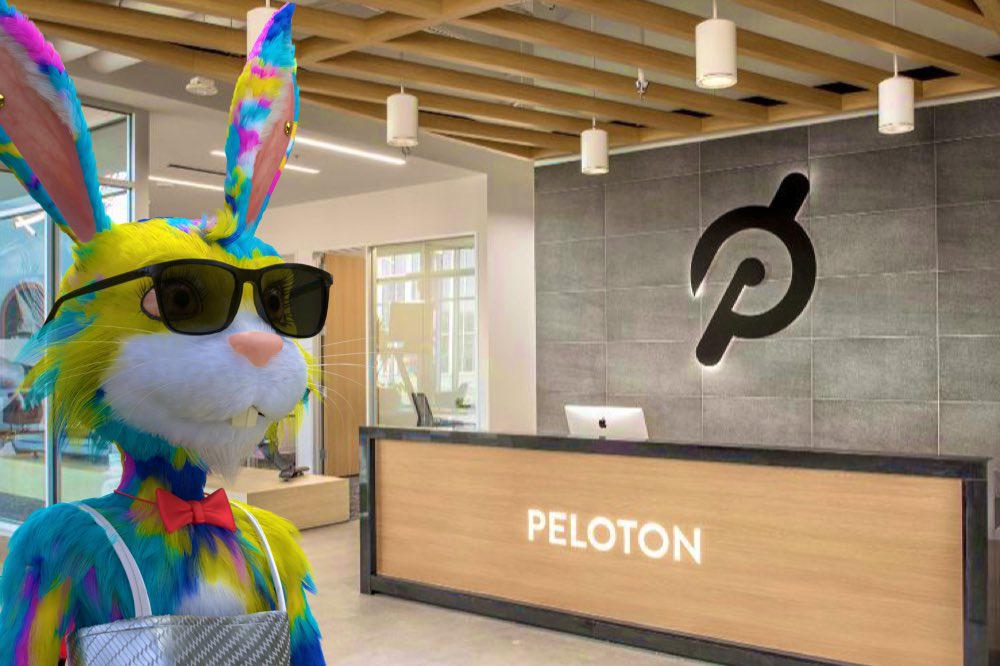 Flufficia's tweet photo. Snuck in @onepeloton HQ to check out the new Peloton Guide and whoooa 👀🐰🥕who wants to join me on the bike tomm? @flufworld @partybearnft #Flufficia #FLUFworld #flufflefollowfluf #seekers #TheFound https://t.co/IzpaSsy9ns