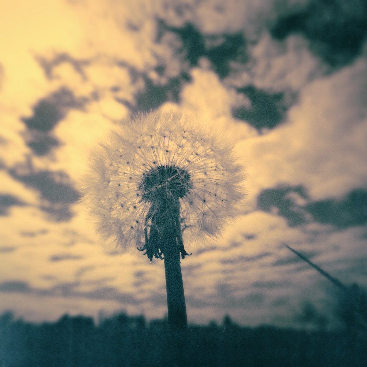 withnomoney's tweet photo. https://t.co/Ttkfw1IMqf