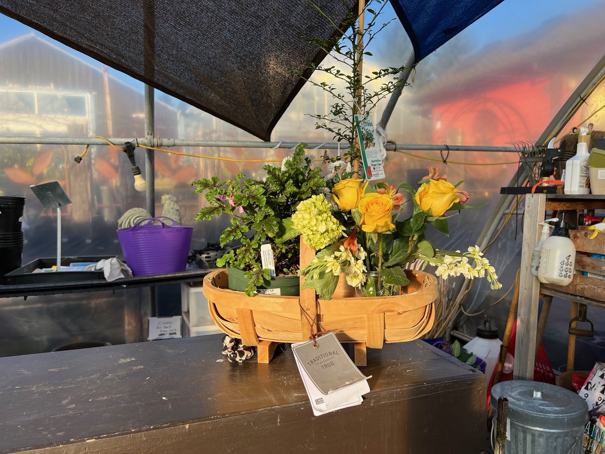 Flowers for Ukraine #FlowersForUkraine
#FreedomforUkrainians #HerbsForUkraine #VegetablesForUkrainians #StoptheWarNow