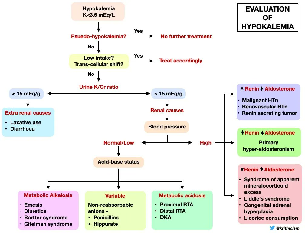 GrepMed on Twitter "Hypokalemia Algorithm Differential Diagnosis Framework by Dr. Krithika