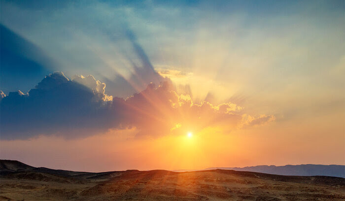 Kathleen Pooler tweet media