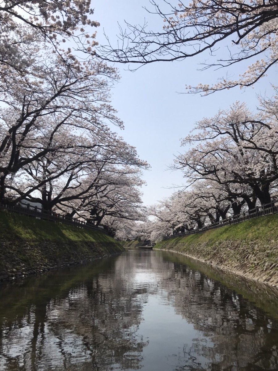 VEZEL_77's tweet photo. お昼は遊覧船で花見🌸🌸🌸 https://t.co/8sXSKV8fz2