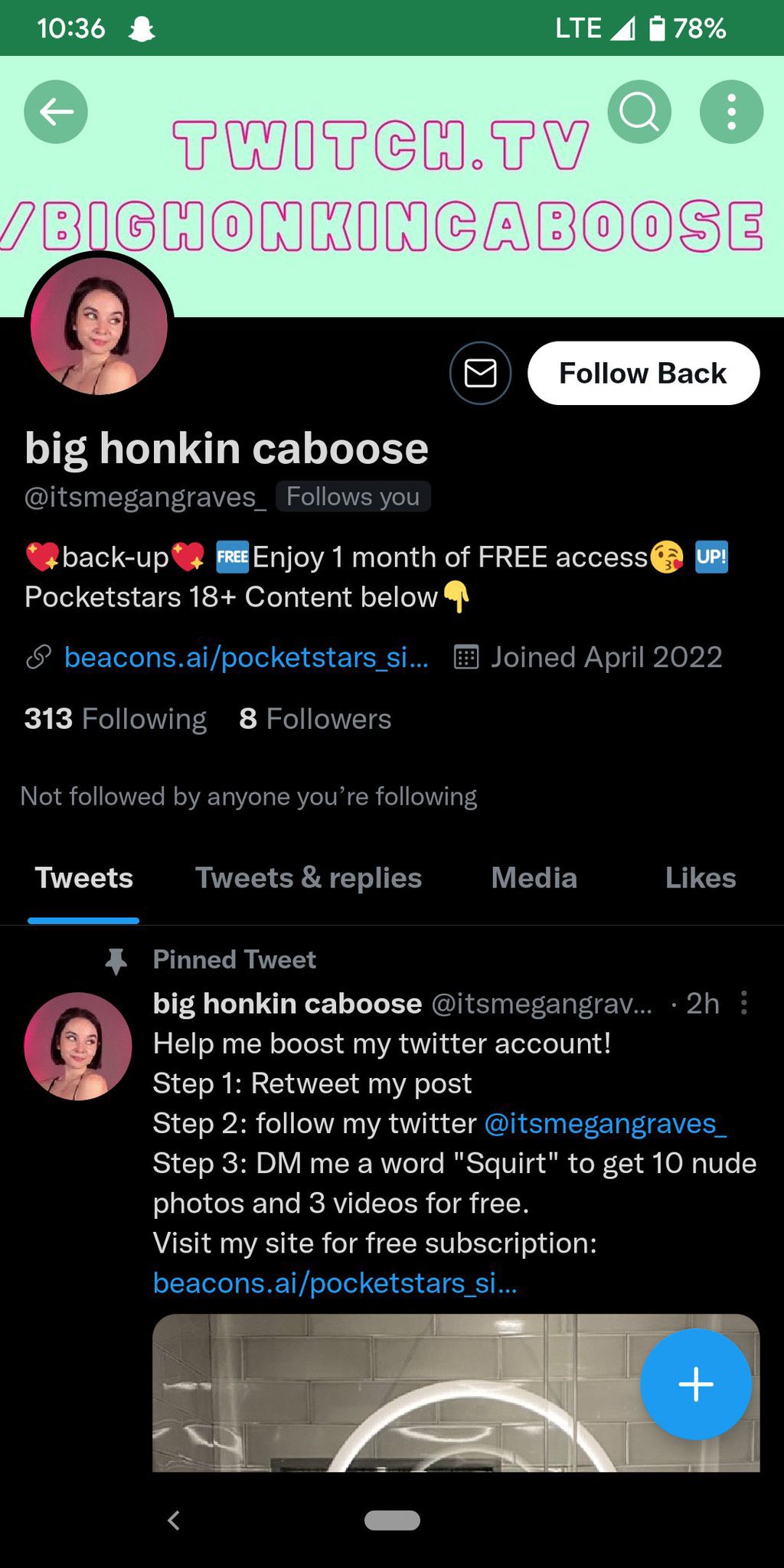 big honkin caboose on Twitter: "Someone’s pretending to be me and
