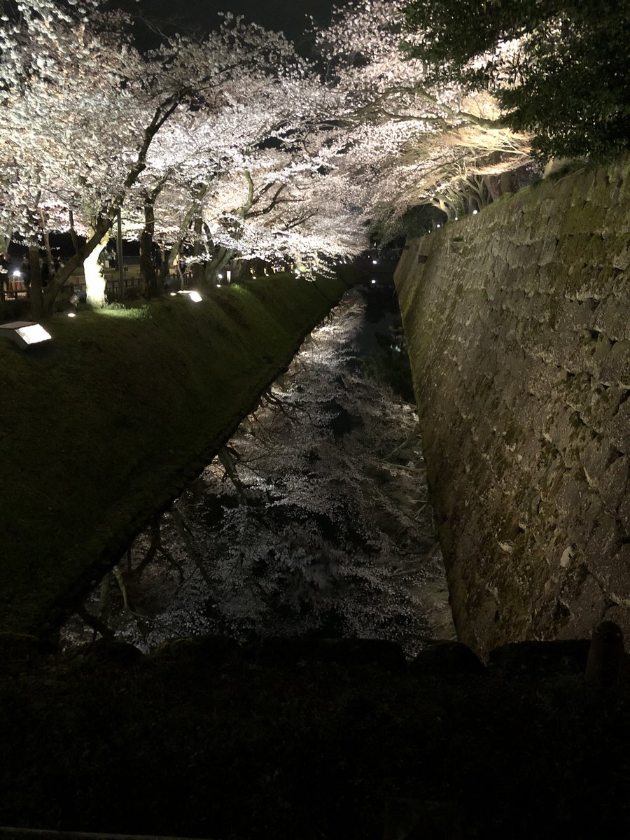 VEZEL_77's tweet photo. 夜桜は兼六園で🌸🌸🌸 https://t.co/Cq0dpaiS2s