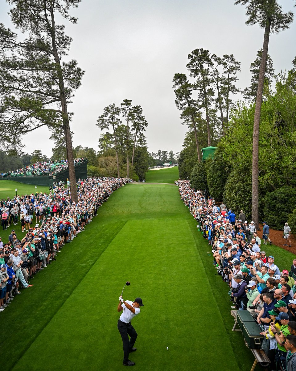 Tiger Woods gallery on 18 ... for a practice round.