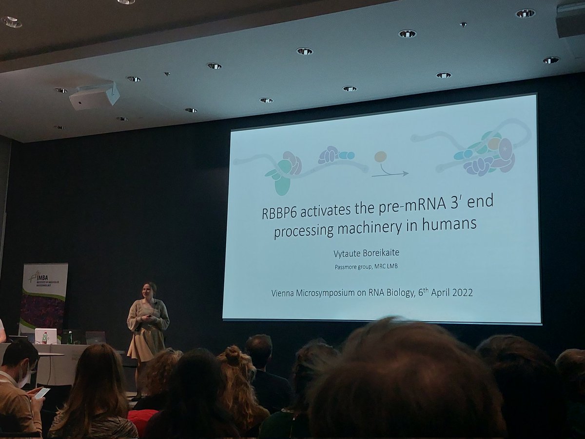 #Microsymposium2022 also features a #PhDworkshop, at the end of which one of the PhD candidate speakers will be selected for an #award

Photo: <a href="/VBoreikaite/">Vytaute Boreikaite</a>
(@MRC_LMB), #workshop part 1

<a href="/IMPvienna/">IMP</a> <a href="/gmivienna/">GMI Vienna gmivienna.bsky.social</a> <a href="/MaxPerutzLabs/">Max Perutz Labs Vienna</a> <a href="/viennabiocenter/">Vienna BioCenter</a> #RNA #RNAbiology #symposium #PhD