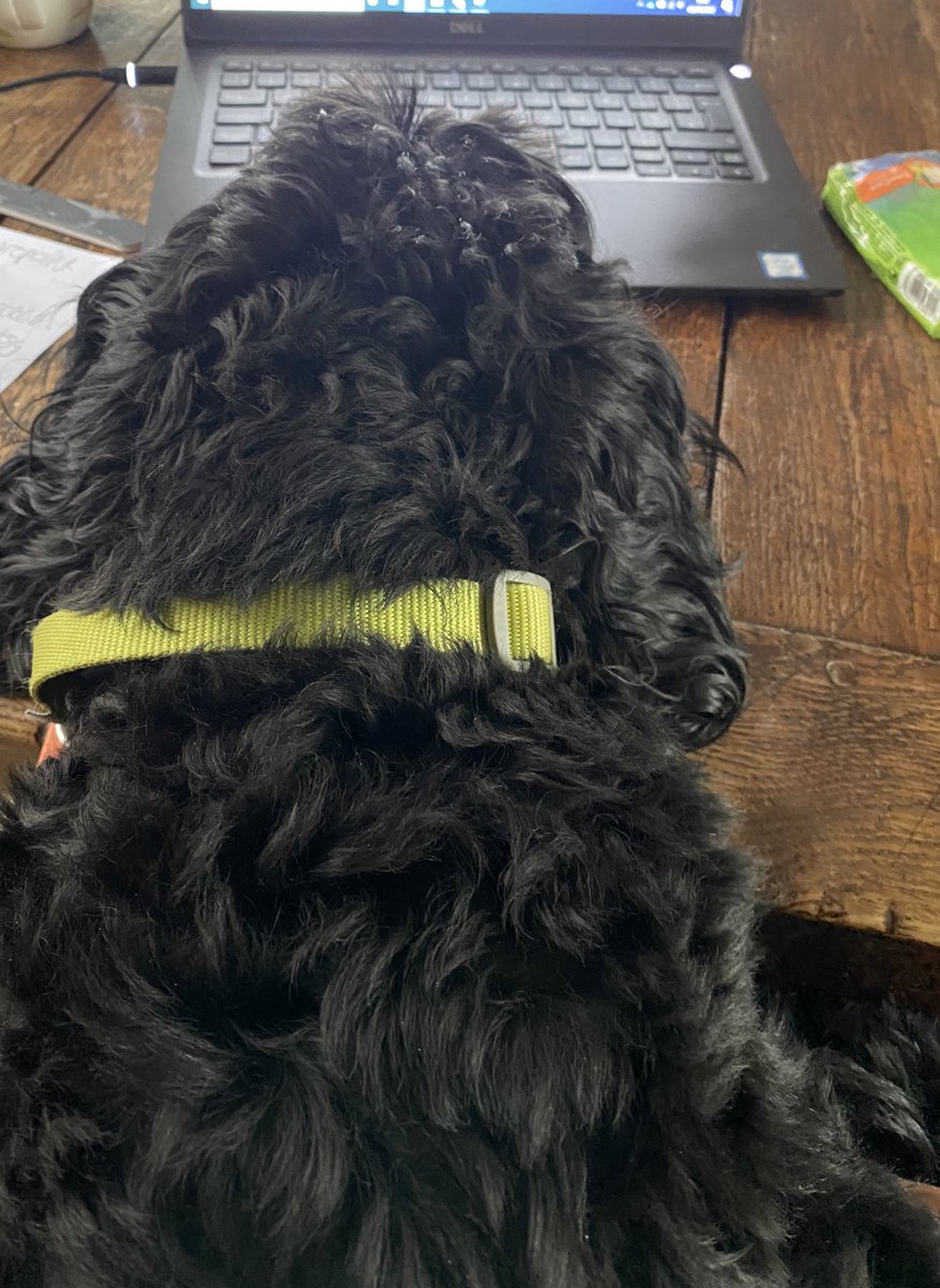 Sally Archer tweet media