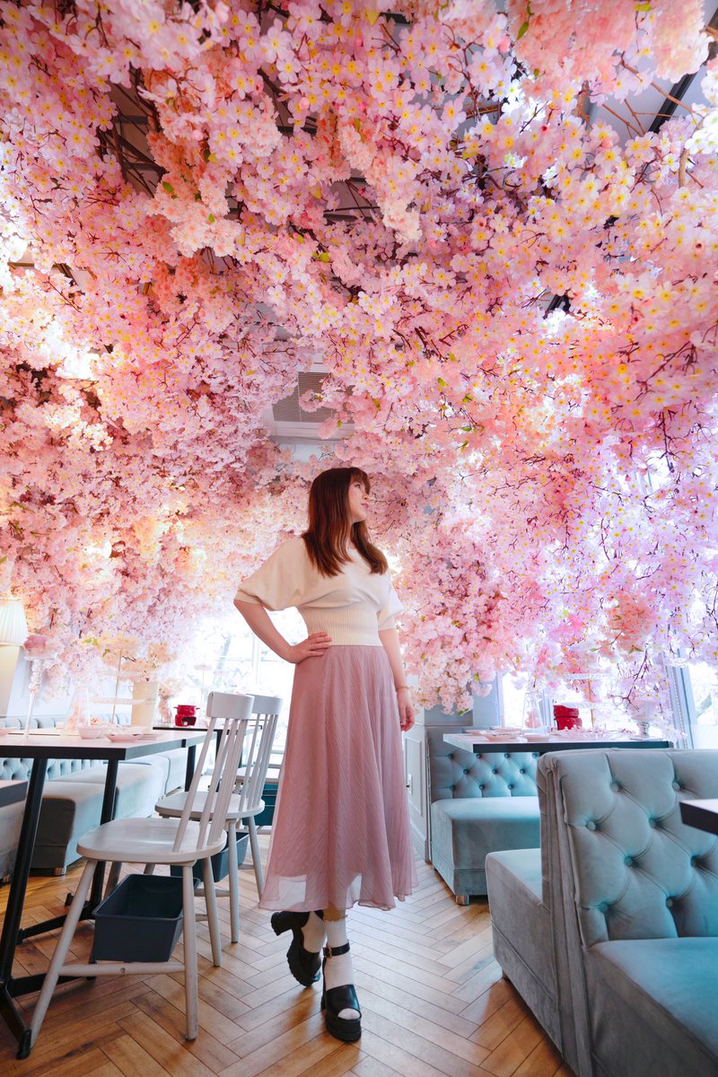aitaikimochi's tweet photo. SAKURA THEMED AFTERNOON TEA SO PINK SO STUNNING 🌸😍🌸 https://t.co/NE6uGjpUCo