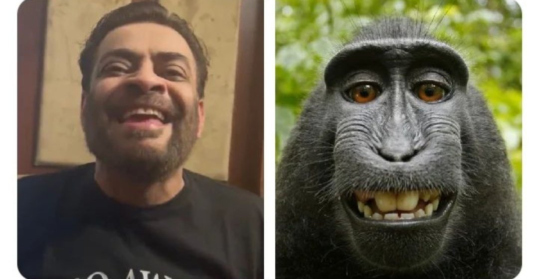 daniyalsalespro's tweet image. #samebreed
@AamirLiaquat