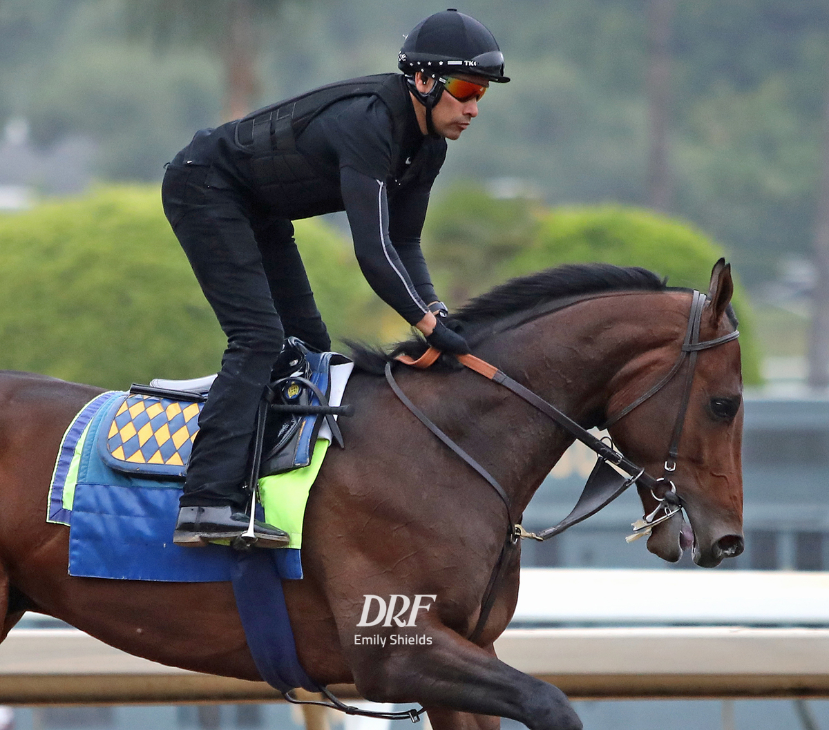 Daily Racing Form on Twitter: 