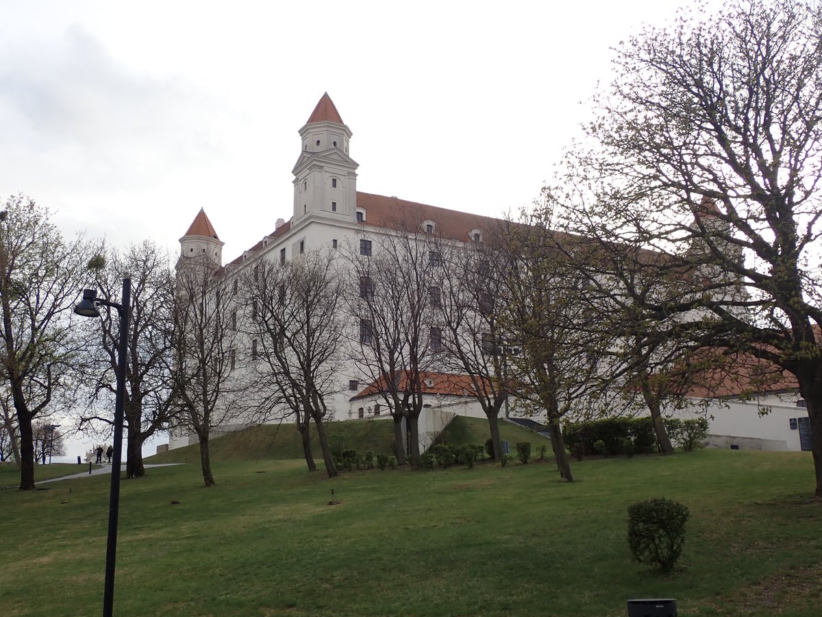 ca16208's tweet photo. The first international conference on #Riparian #Ecosystems Science and Management held from 6th to 7th April 2022 in Bratislava (Slovakia) https://t.co/vHVE76J5Af https://t.co/S0t5IPhKPu