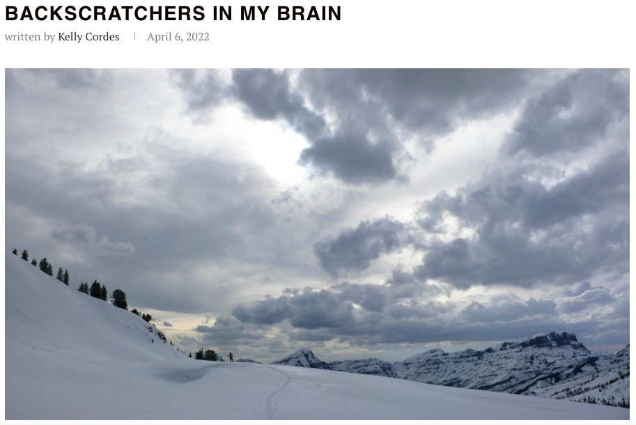 Kelly Cordes tweet media