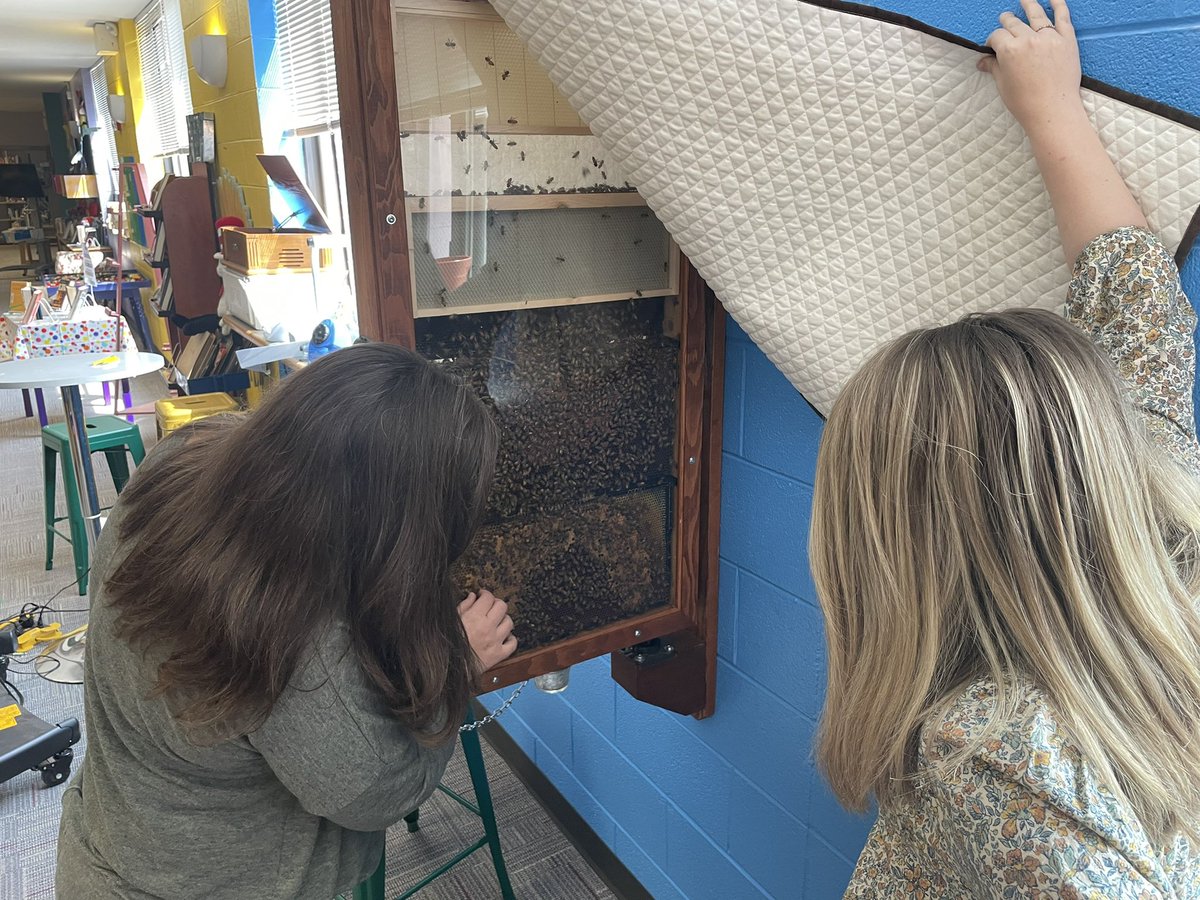 KathrynMBailey's tweet image. Thanks @sarahpjustice for showing off your #BeesInTheLibrary @RosmanMiddle @RosmanHS and your unBEElievable #BeeKnowledge @aladowDLS 🐝 📚