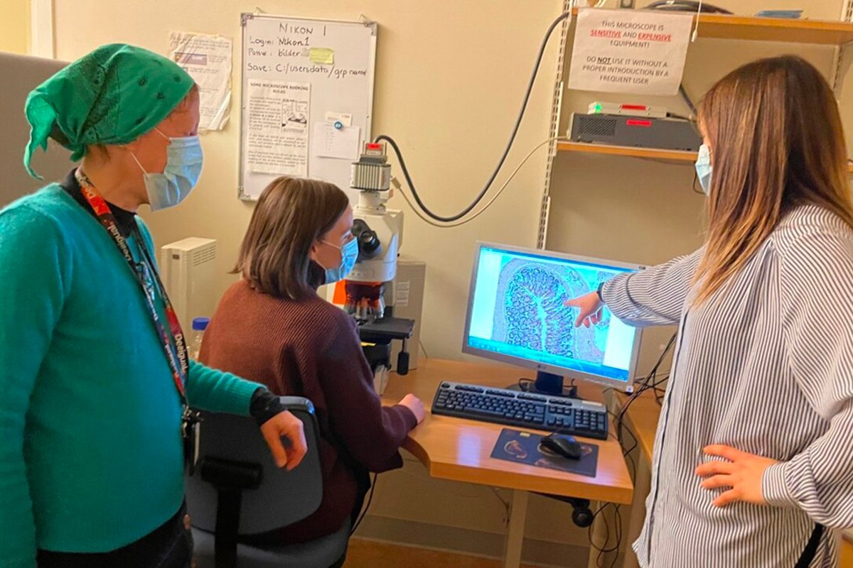 e-flux Education tweet media