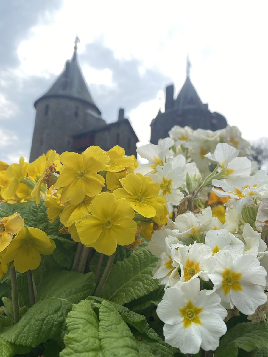 So proud of Ross, @roosebroose @ross_edwards2009 entering his first ever photography competition (What Wales means to me) and he won 1st place. #photography #castlecoch #wales #castle #proud <a href="/Bishop_Llandaff/">The Bishop of Llandaff CiW High School</a>