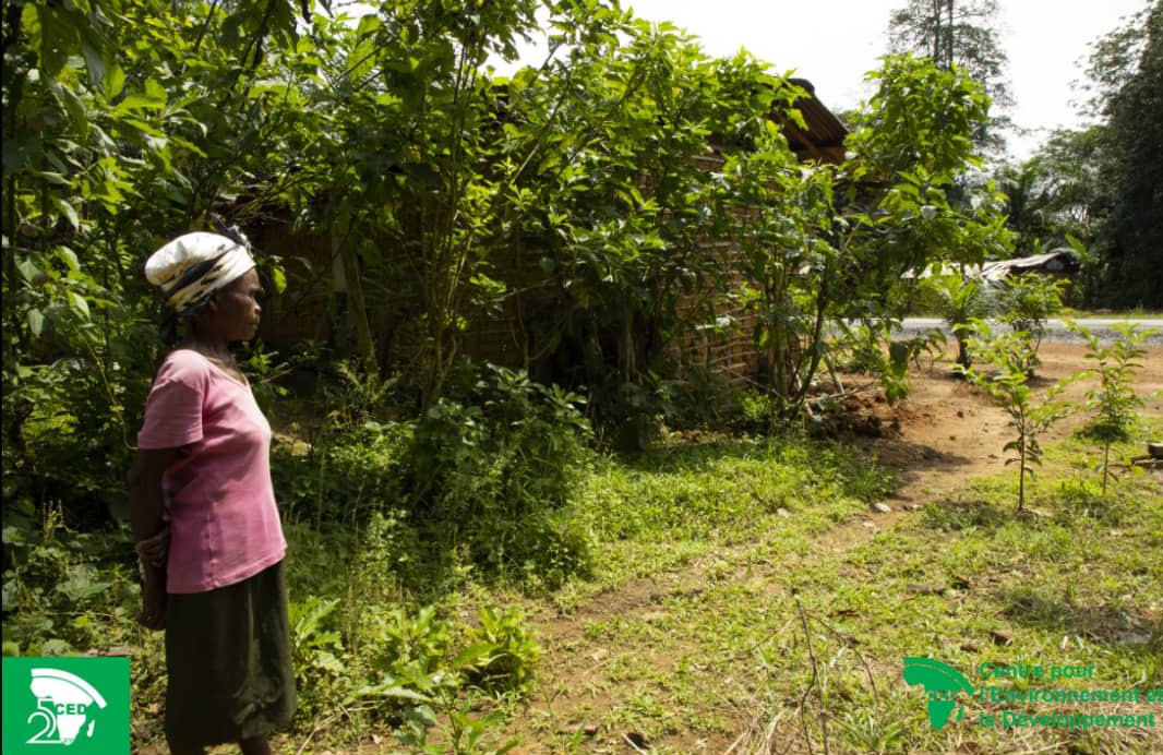 What have we learned? The emergence of new forms of land grabbing by new actors and competition over resources further weaken women's land security. #genderandlandtenureincameroon