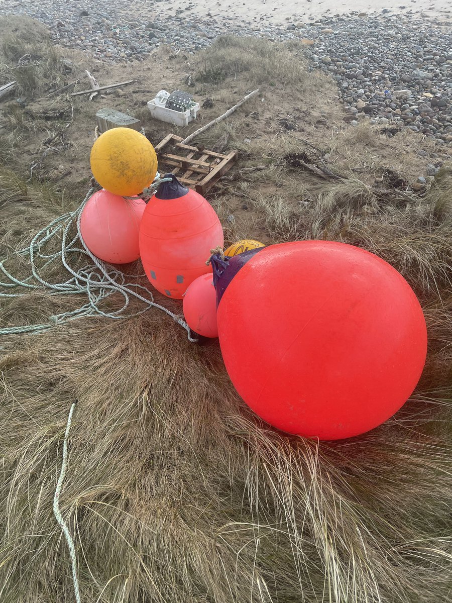 BeachVagabond's tweet photo. A ‘Family’ of Buoys has landed on ‘The Beach’ , one from #Londonderry #B945 #MaryEllen #Friel #Fishing #OpenLitterMap #2MinuteBeachClean https://t.co/hLnaZh2eiq