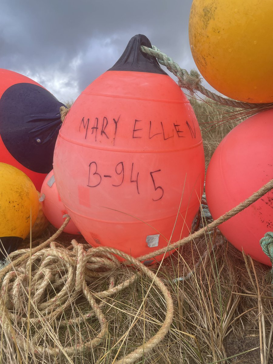 BeachVagabond's tweet photo. A ‘Family’ of Buoys has landed on ‘The Beach’ , one from #Londonderry #B945 #MaryEllen #Friel #Fishing #OpenLitterMap #2MinuteBeachClean https://t.co/hLnaZh2eiq