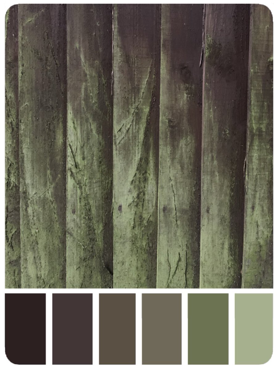 #scenicartistreference #setdresserreference #textureartist  #scenicreference #textures #surfaces #colourpalettes #paintreference #oldfence