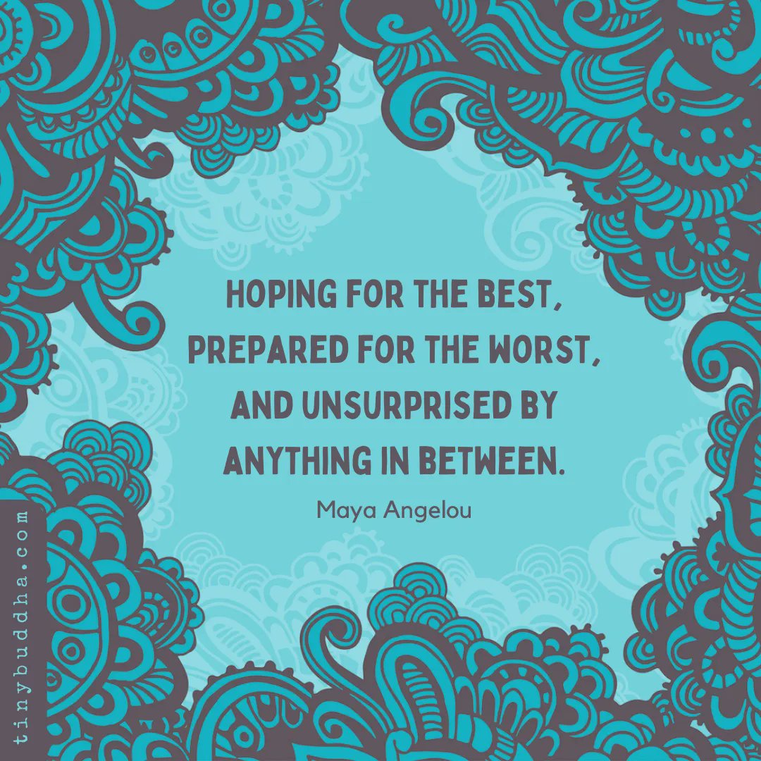 "Hoping for the best, prepared for the worst, and unsurprised by anything in between." ~Maya Angelou