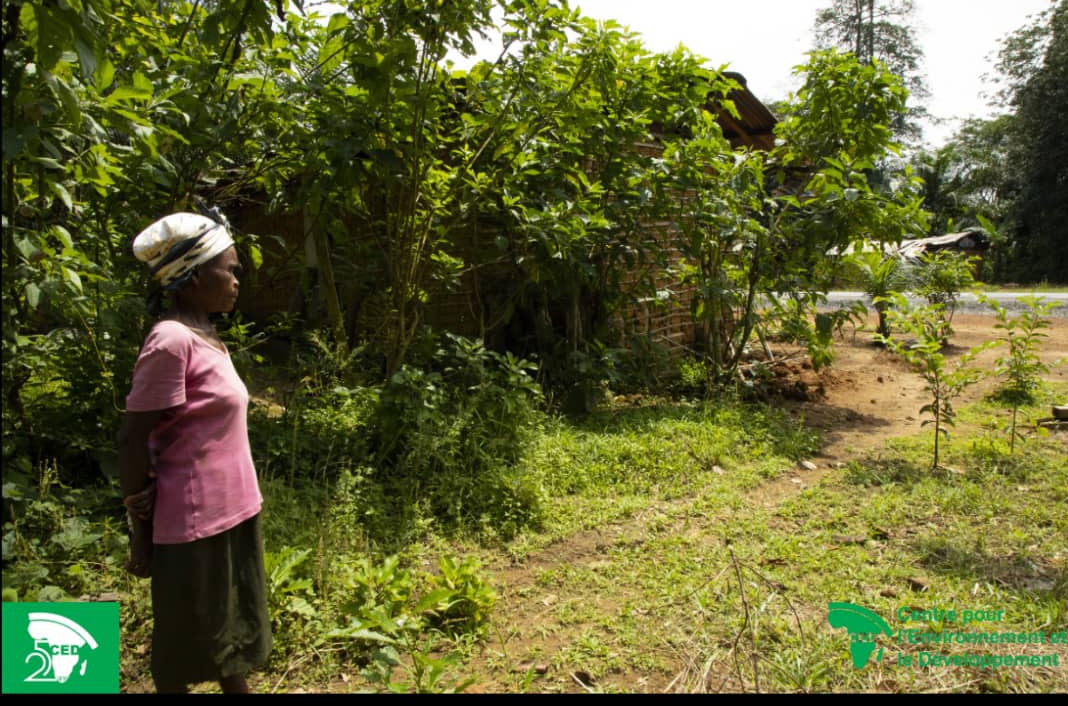 Qu’avons-nous appris ? L’émergence de nouvelles formes d’accaparement de terres par de nouveaux acteurs et la concurrence sur les ressources fragilisent davantage la sécurité foncière des femmes. #genreetfoncieraucameroun