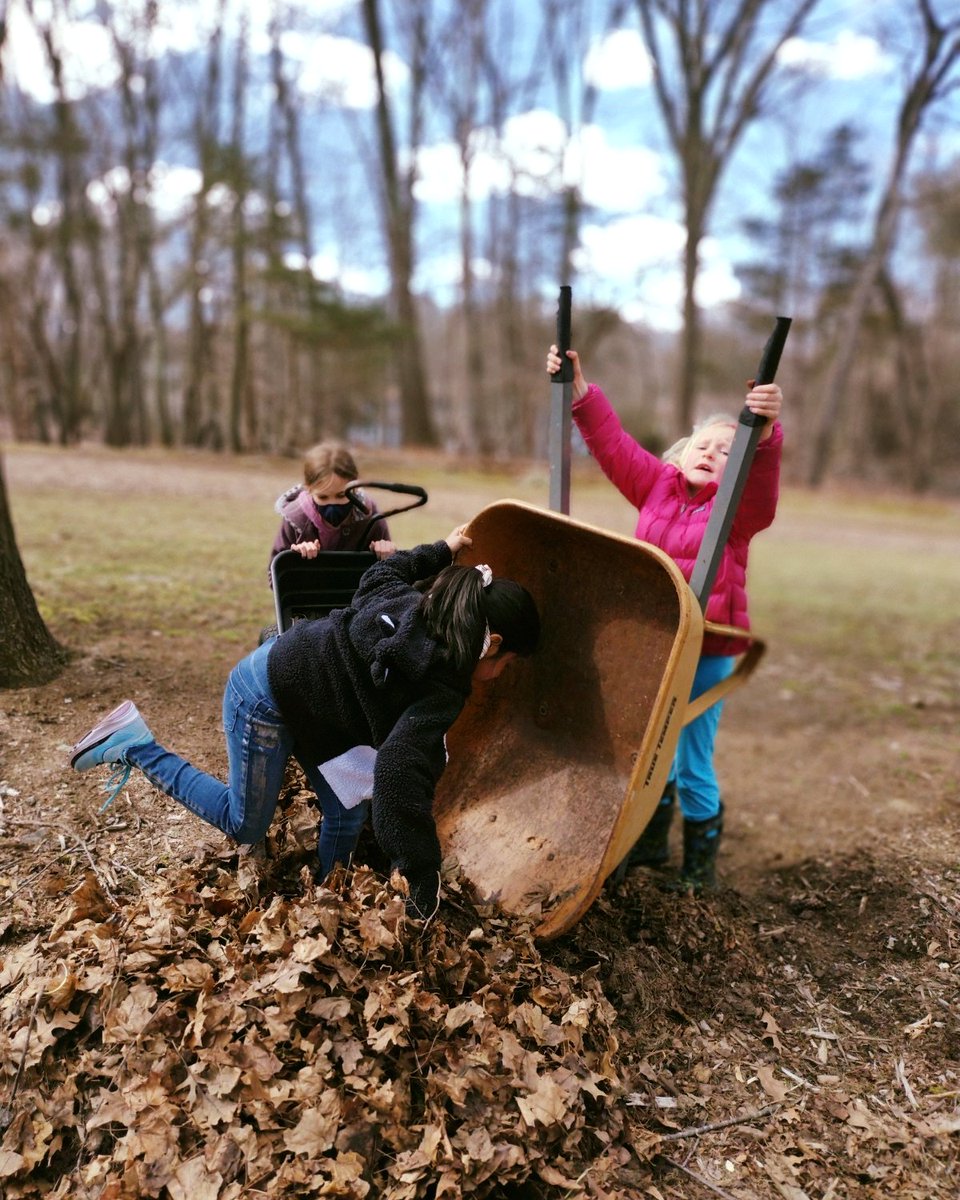 LexMontessori's tweet photo. Lower Elementary children helped clear mulch off our garden beds and then planted arugula! Spring is here!!! #IAmLMS #Spring #Montessori #ShowMeDontTellMe #LowerElementary #gardening #garden #raisedbedsgarden #Arugula https://t.co/1q2hX34LqF