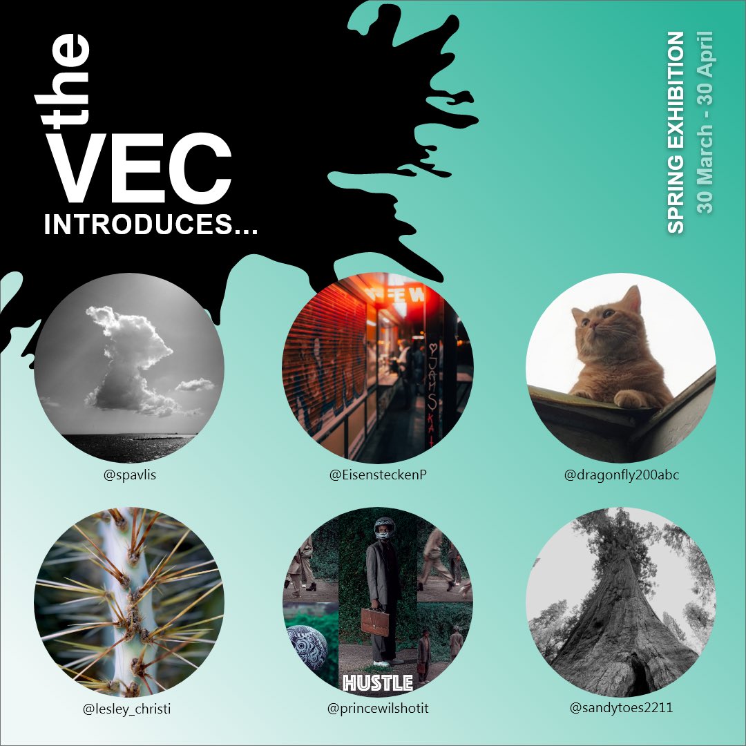 Photography, anyone? Don’t forget to visit TheVECentre.com to see work by these photographers and more!!
<a href="/spavlis/">Stamatis Pavlis</a> <a href="/EisensteckenP/">Estek</a> <a href="/dragonfly200abc/">BOBBY</a> <a href="/lesley_christi/">Lesley Christine *Blockchain Nomad*</a> <a href="/princewilshotit/">Princewill Tola</a> <a href="/Sandytoes2211/">Sandytoes2211ᴺᶠᵀ</a>