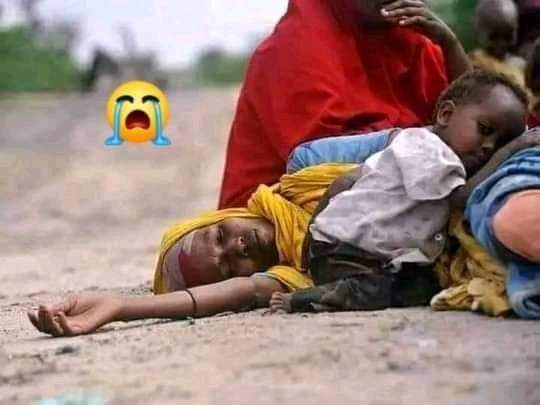 HoumedKadya's tweet photo. Déplacée par les🔥#TPLFTerrorist ignorée par les médias &amp; Puissances Occidentales #afar #NorthEthiopia attend hagarde. Les grandes souffrances sont muettes #AfarCantWait #BreakTheSilence #TPLFWarCriminal #DisarmTplf  @POTUS @SFRCdems @afpfr @Reuters @ARTEfr @UrgentF24 @FRANCE24 https://t.co/kNCL8Z5WGx