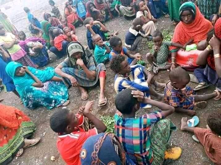 HoumedKadya's tweet photo. Déplacée par les🔥#TPLFTerrorist ignorée par les médias &amp; Puissances Occidentales #afar #NorthEthiopia attend hagarde. Les grandes souffrances sont muettes #AfarCantWait #BreakTheSilence #TPLFWarCriminal #DisarmTplf  @POTUS @SFRCdems @afpfr @Reuters @ARTEfr @UrgentF24 @FRANCE24 https://t.co/kNCL8Z5WGx