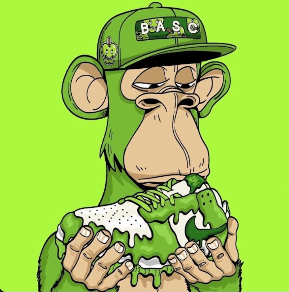 mchach cat store tweet media