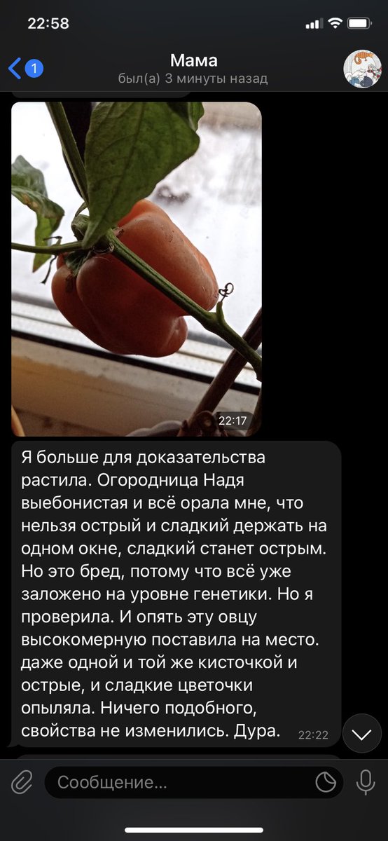 shutupgrese's tweet photo. Этот всё во мне уже заложено на уровне генетики https://t.co/ws4NGl5CCp