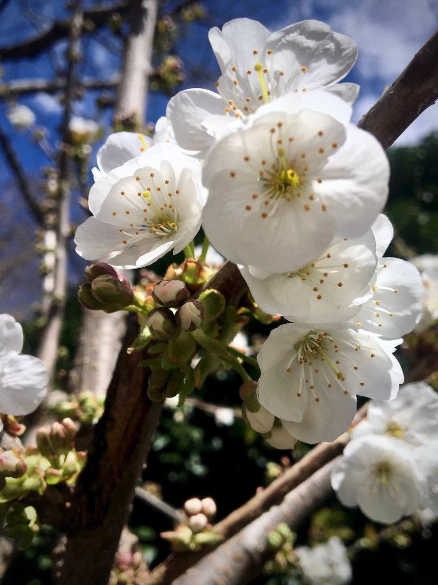 Ferhat U tweet media