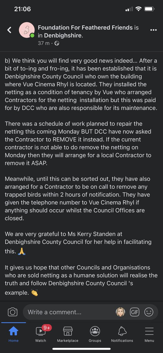 LetJenKnow's tweet image. If anyone has been following my outrage at the gulls becoming tangled in the poorly maintained roof netting @vuecinemas Rhyl, @DenbighshireCC have confirmed it’s their building and will be resolved! Wonderful news! Gulls from yesterday survived 💚